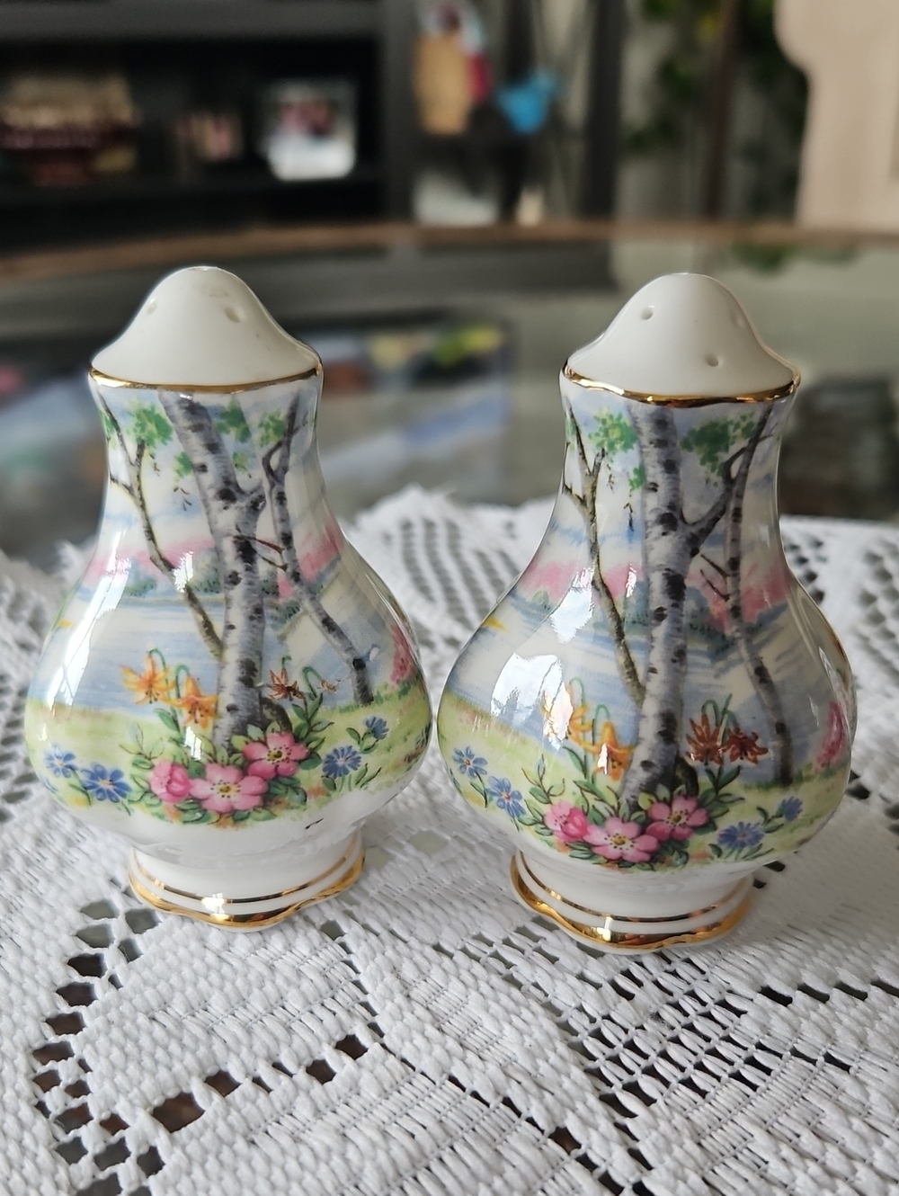 Vintage Royal Alber "Silver Birch" Salt and Pepper Shakers Set - Bone China